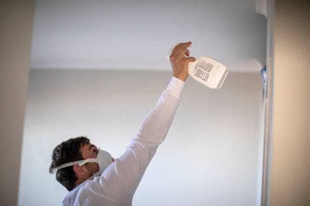 Best Commercial Mold Removal  in Rio Linda, CA