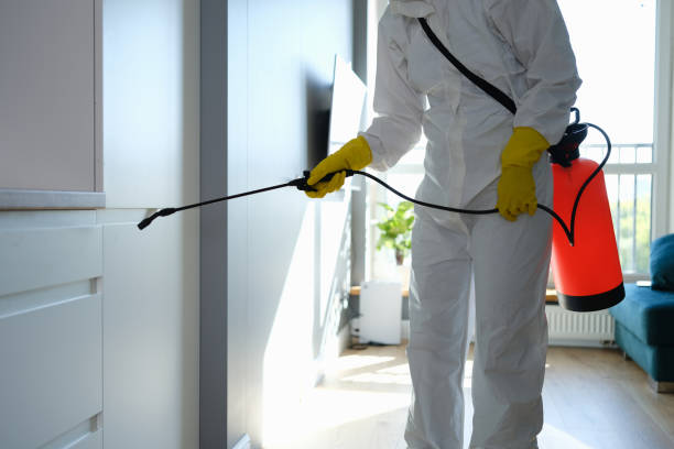 Mold Testing and Removal in Rio Linda, CA