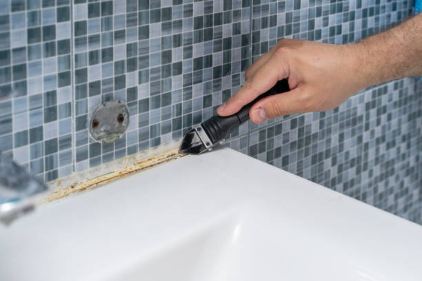 Best Residential Mold Removal  in Rio Linda, CA
