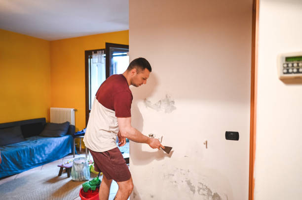 Best Crawl Space Mold Removal  in Rio Linda, CA